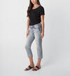 Elyse Mid Rise Straight Crop Jeans, , hi-res image number 2