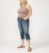 Suki Mid Rise Luxe Stretch Capri Plus Size, , hi-res image number 2
