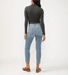 Isbister High Rise Ankle Straight Leg  Luxe Stretch Jeans, Stevie, hi-res image number 1