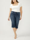 Isbister High Rise Capri Plus Size image number 0