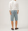 Gordie Relaxed Fit Shorts, , hi-res image number 1
