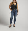 Elyse Mid Rise Skinny Jeans Plus Size, , hi-res image number 0
