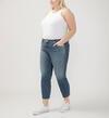Elyse Mid Rise Straight Leg Ankle Jeans Plus Size, , hi-res image number 2