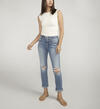 Beau High Rise Slim Leg Jeans, , hi-res image number 0