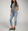Most Wanted Mid Rise Straight Leg Ankle Jeans, , hi-res image number 2