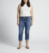 Elyse Mid Rise Capri Plus Size, , hi-res image number 0